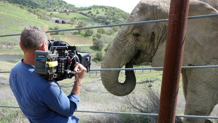 Cameraman filming elephant for Tyke Elephant Outlaw